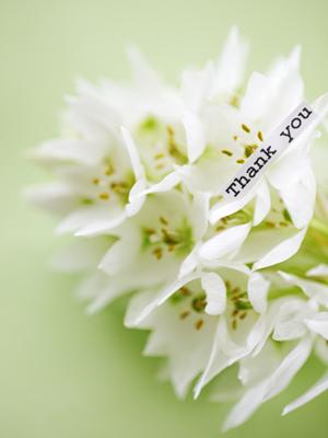 ウイスキーの通販、種類豊富なお酒の専門店